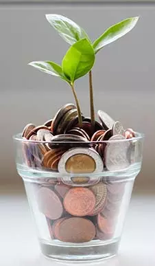 Plant growing out of coins